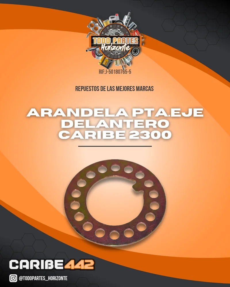 Repuesto ARANDELA PUNTA DE EJE DELANTERO CARIBE 2300 original