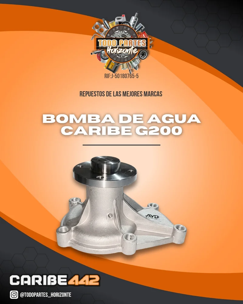 Repuesto BOMBA AGUA CARIBE G200 original