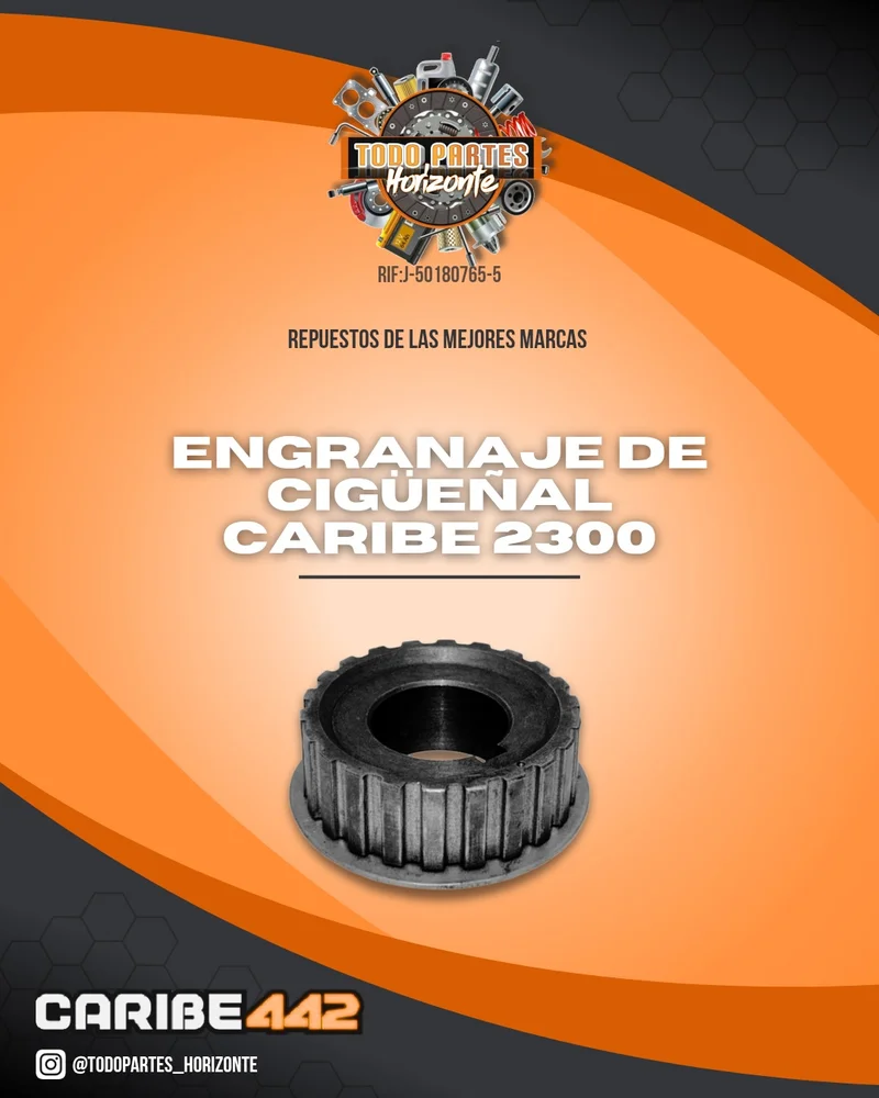 Repuesto ENGRANAJE DE CIGUEÑAL CARIBE 2300 original