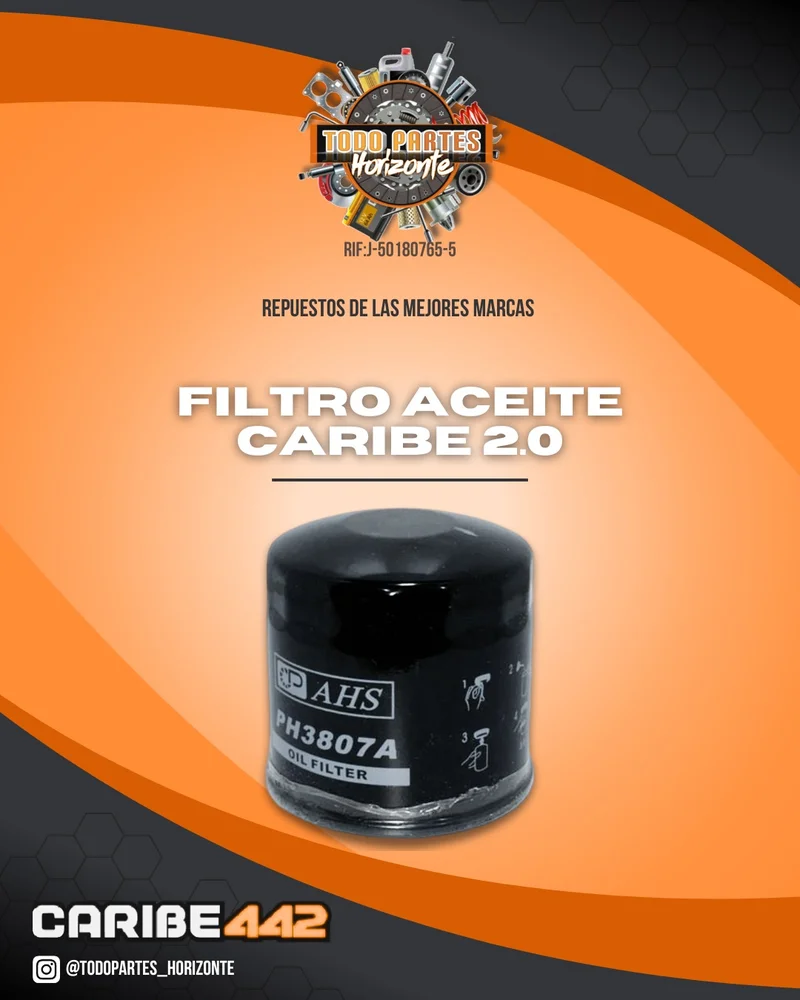 Fotografía de repuesto Filtro Aceite Caribe 2.0 original - Todo Partes Horizonte