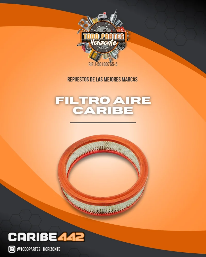 Fotografía de repuesto Filtro Aire Caribe original - Todo Partes Horizonte