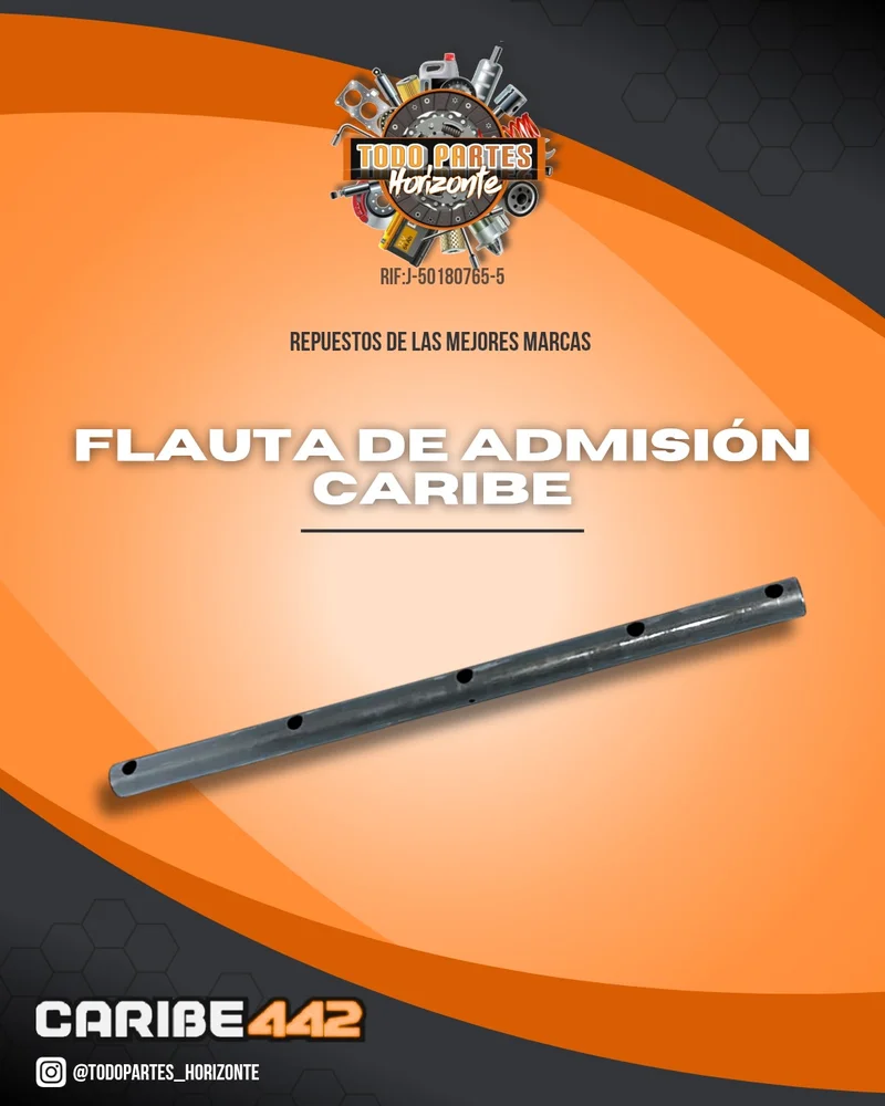 Fotografía de repuesto Flauta De Admisión Caribe original - Todo Partes Horizonte