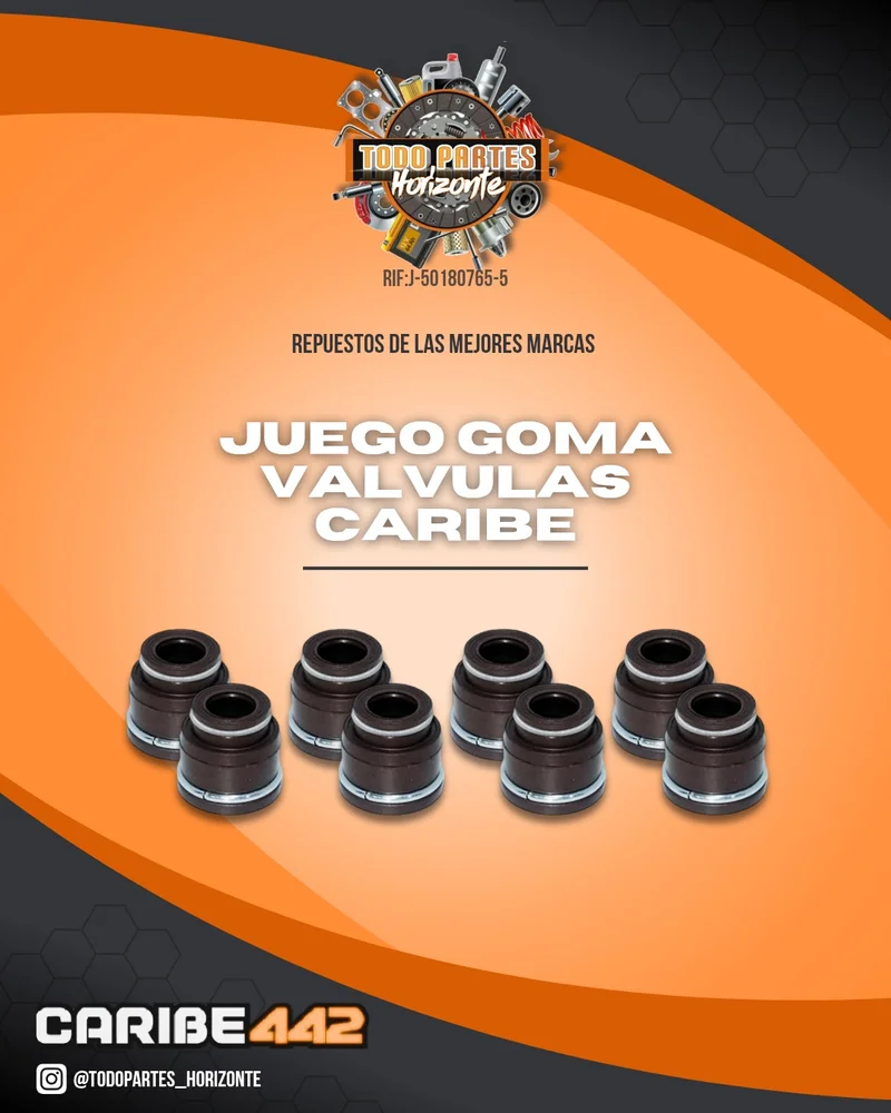 Repuesto JUEGO GOMA VALVULAS CARIBE original