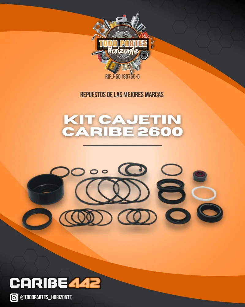 Repuesto KIT CAJETIN CARIBE 2600 original