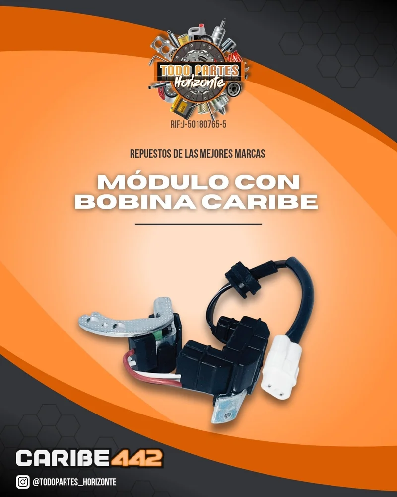 Fotografía de repuesto Modulo Con Bobina Captadora Caribe original - Todo Partes Horizonte