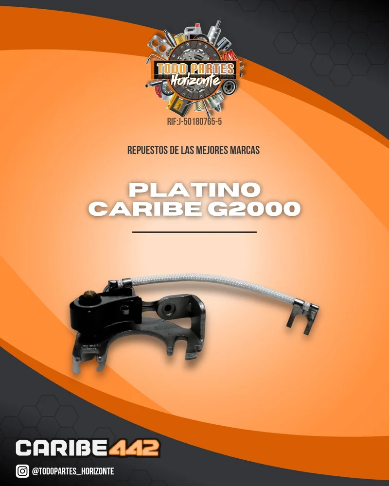 Fotografía de repuesto Platino Caribe G200 original - Todo Partes Horizonte