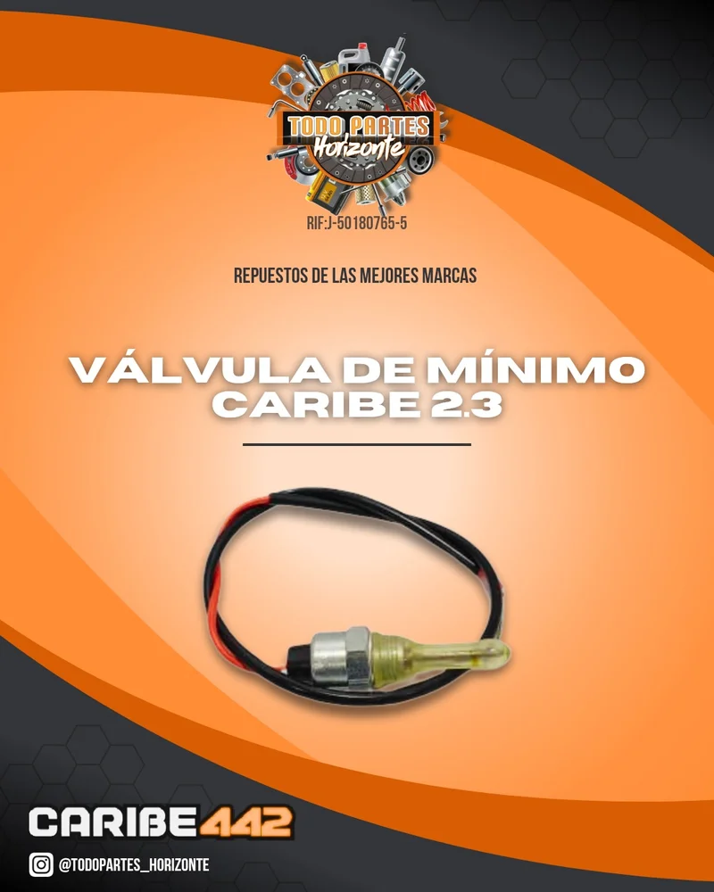 Repuesto VÁLVULA DE MINIMO CARIBE 2.3 original
