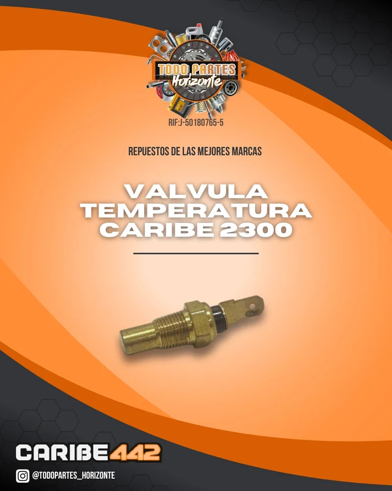 Repuesto VALVULA TEMPERATURA CARIBE 2.3 original